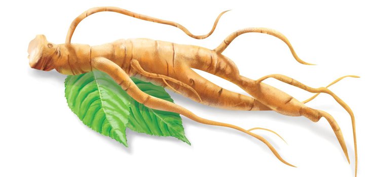 Żeń-szeń "potencjalny" suplement